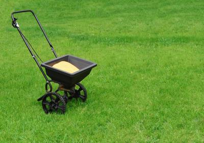 Lawn fertilizer