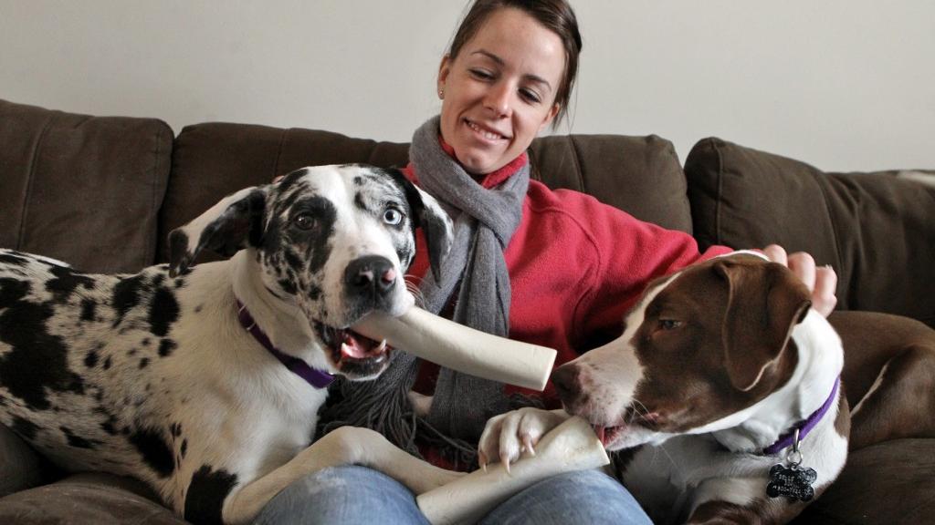 st louis post dispatch