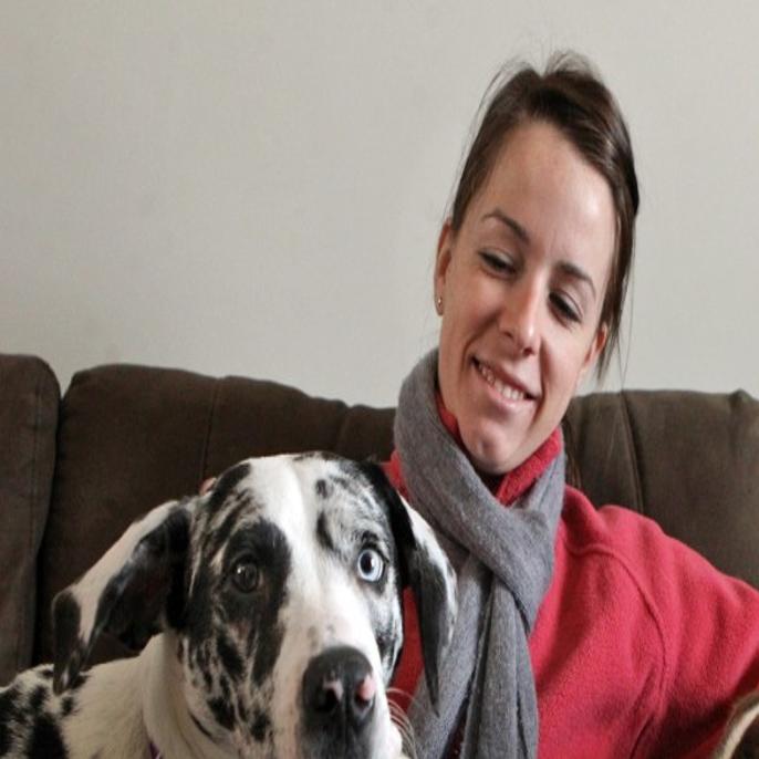 wentzville considers changing pit bull