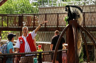 Primate playground opens at St. Louis Zoo