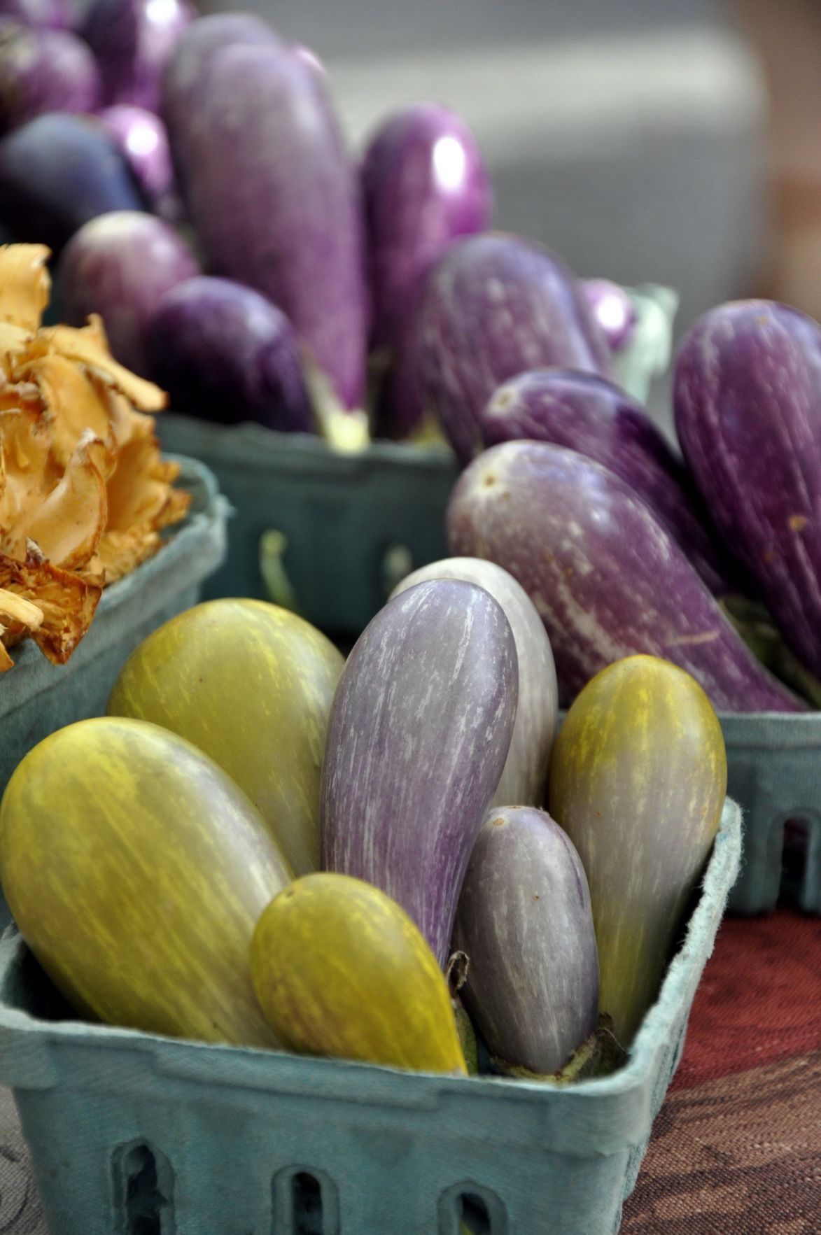 Where to find farmers markets in the St. Louis area | Food and cooking | www.waterandnature.org