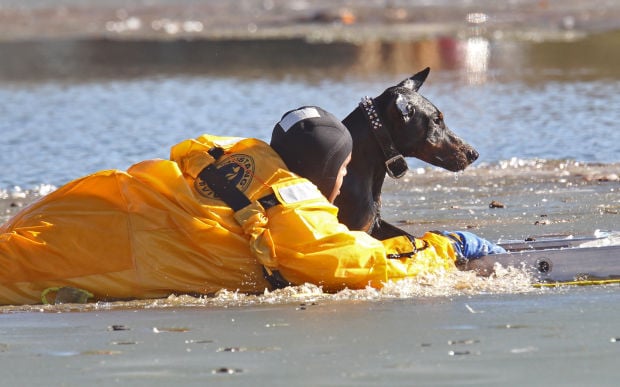 Fire Dept. Rescues dog from lake in O'Fallon Park