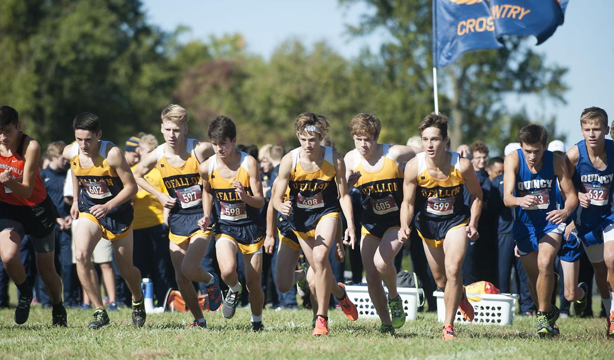 One of few fall sports in Illinois, cross country will have different ...