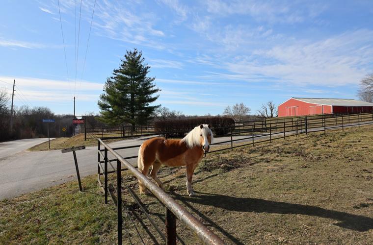Data center proposed at Diamond Farms in Franklin County
