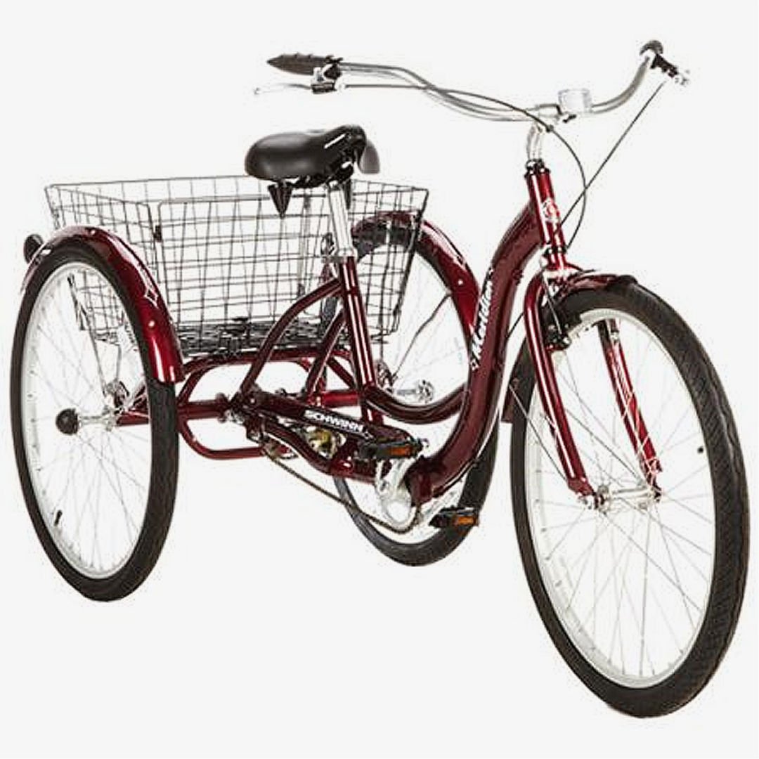 tricycle for adults with gears