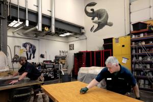 Behind the scenes at the St. Louis Zoo