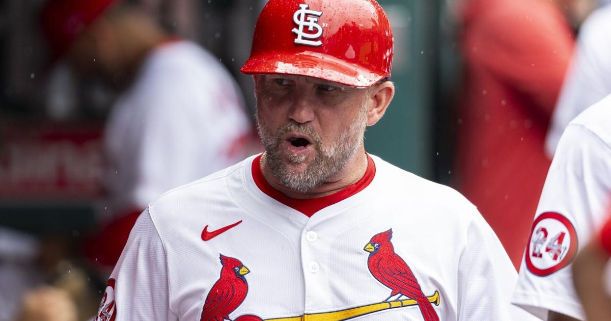 Cardinals coach Clapp earns place in Canadian Baseball Hall