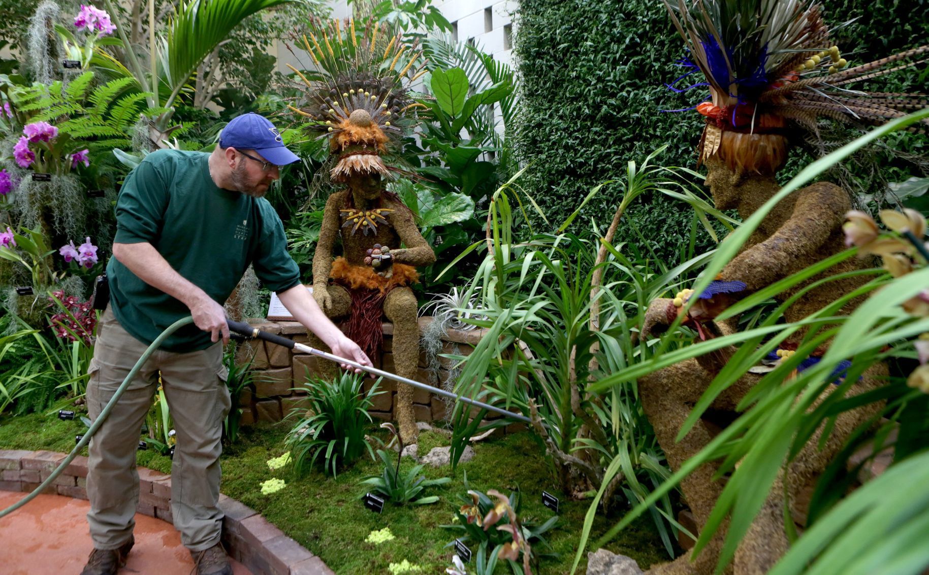 Orchidshow 2020 Missouri Botanical Garden