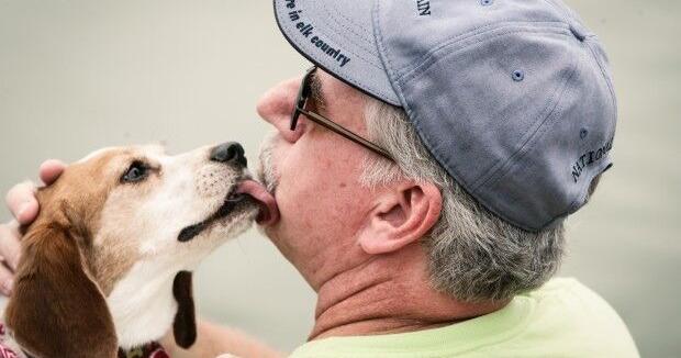 'Ultimate' dog park pitched in St. Charles County. 'Going to be pretty massive.'