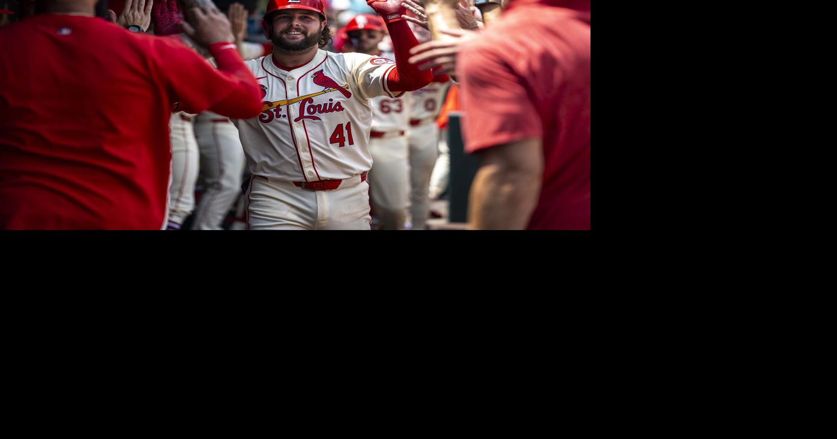 Grades for Cardinals position players: good, bad and ugly