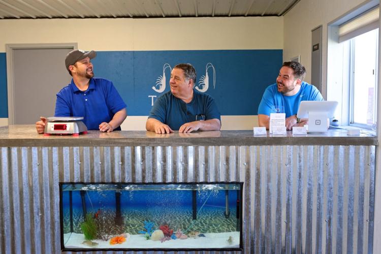Brothers turn toward the unconventional with St. Charles County shrimp farm
