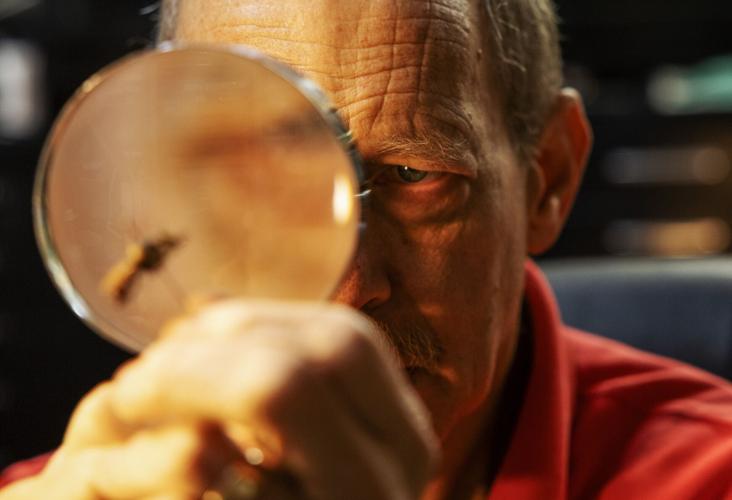 The amateur entomologist behind the City Museum’s insect collection