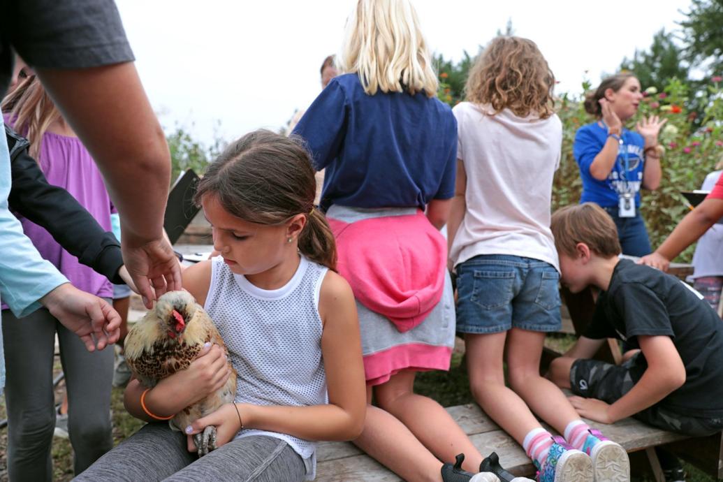 Reading, writing and radishes — Garden class grows in Maplewood