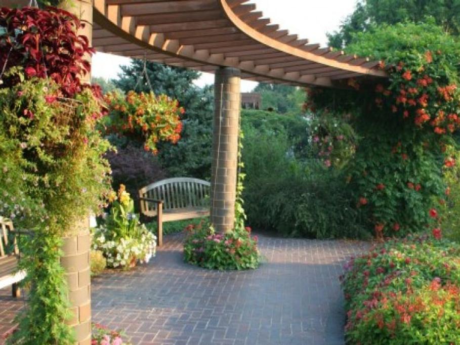 Simple Tips To Help Grow Geraniums Metro Journals Life