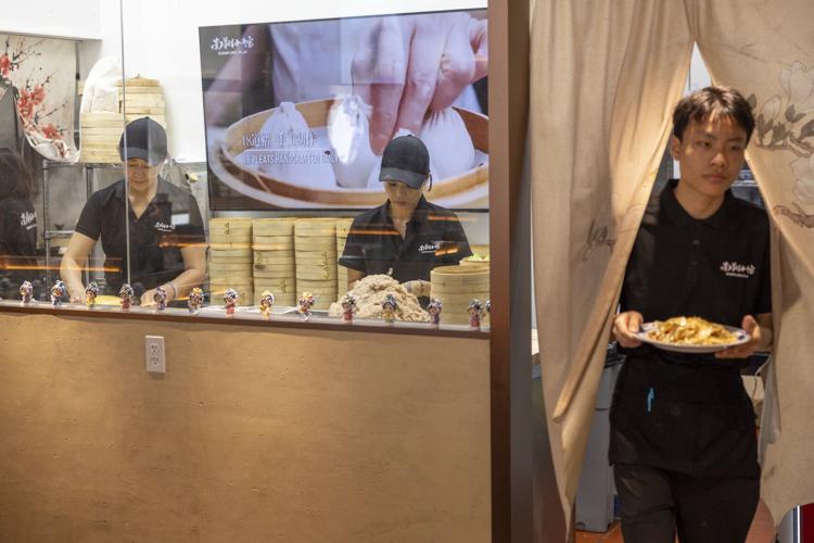 Dumpling Plus Food Review