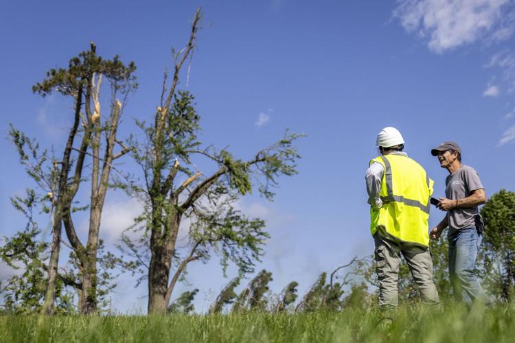 Trees damaged in Forest Park by May 16 tornado