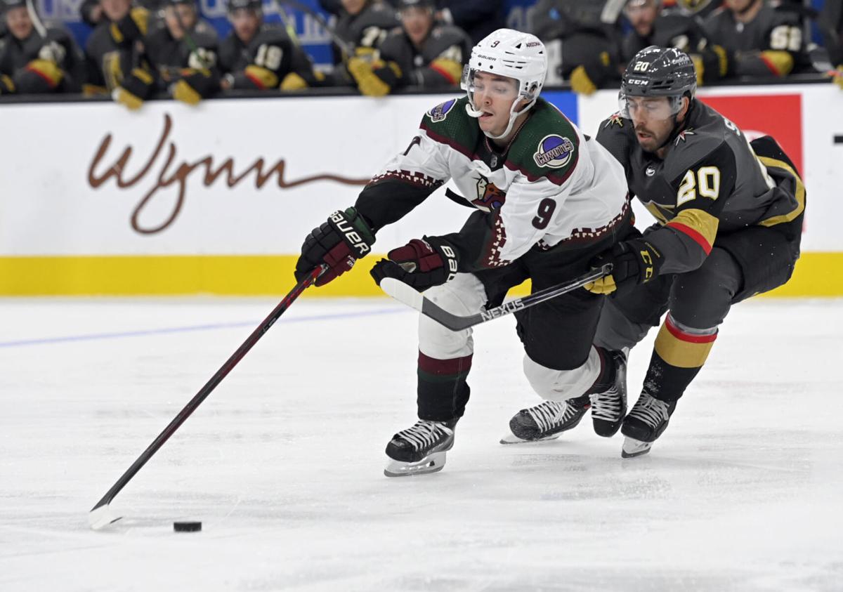 Coyotes Golden Knights Hockey
