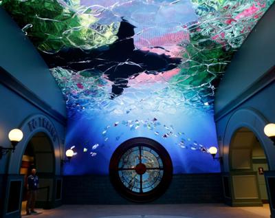 The St. Louis Aquarium Clock