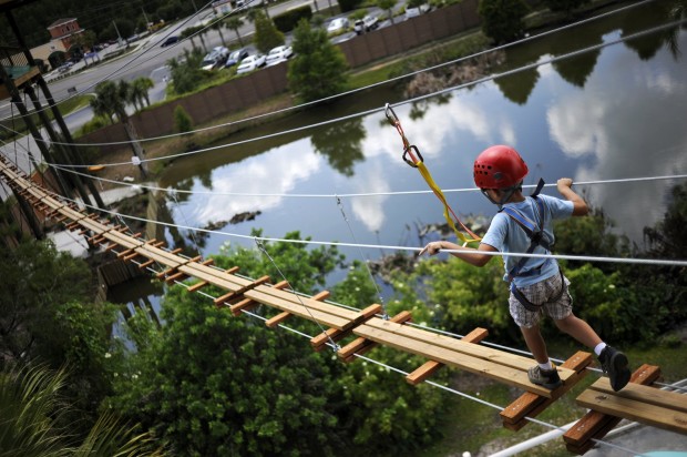 Gatorland: The air above, the teeth below