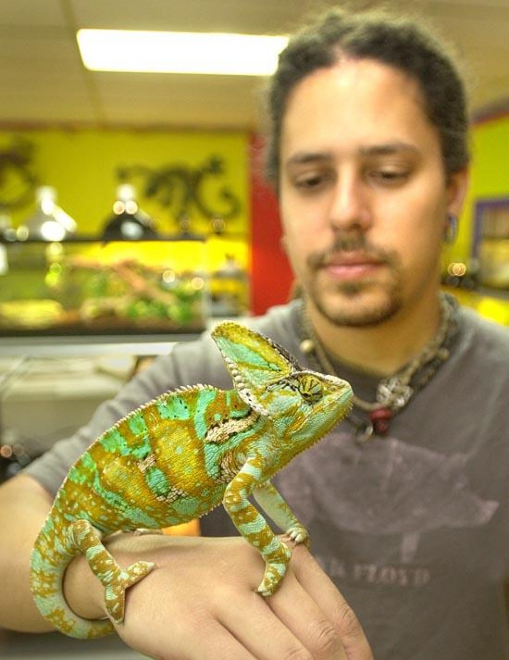 tie dye iguana pet store