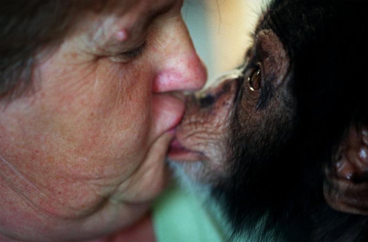 Connie Casey with chimpanzee