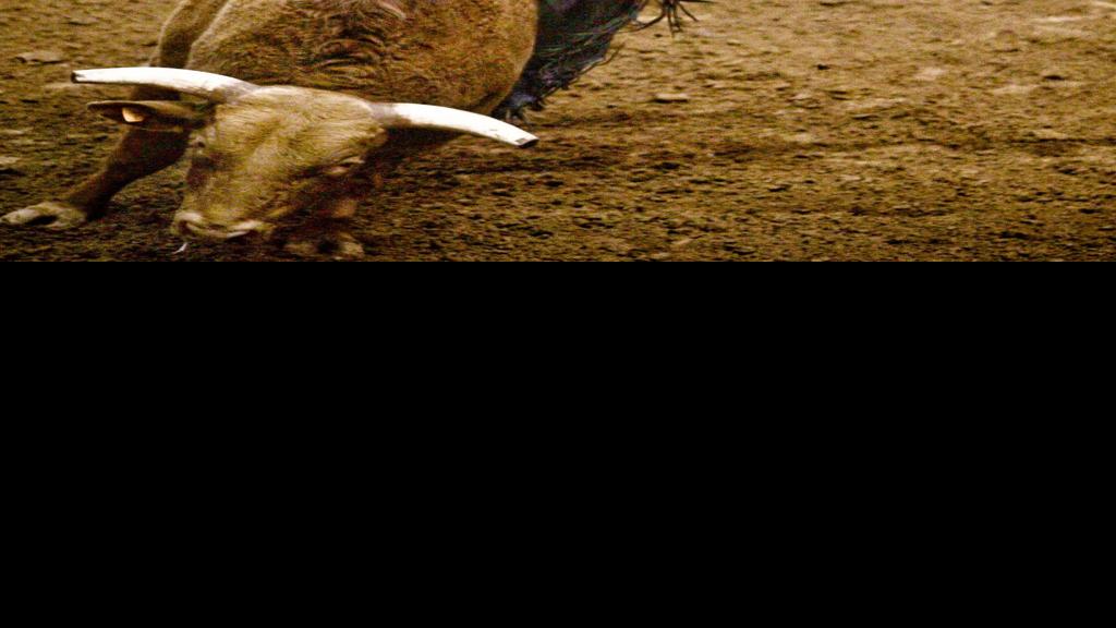 Bull riders face constant threat of injury Sports