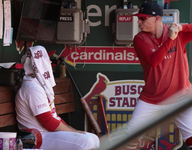 Ӱԭ Cardinals host the Cincinnati Reds