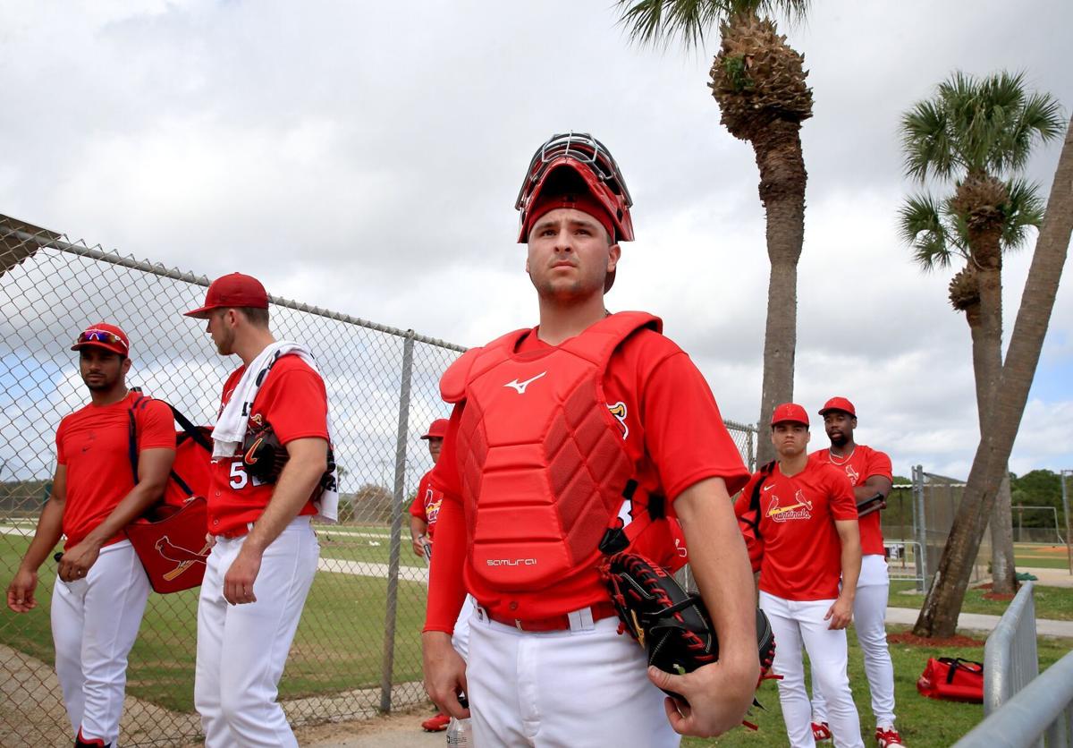 St. Louis Cardinals prospect led baseball in steals, eyes goal in Peoria