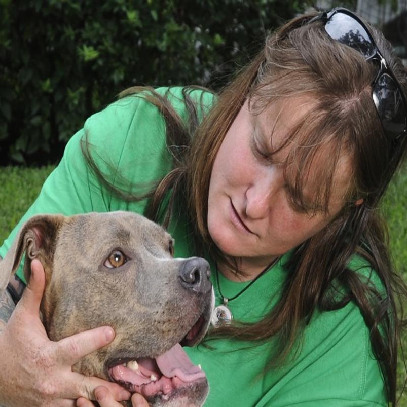 no dog breeds could be banned by