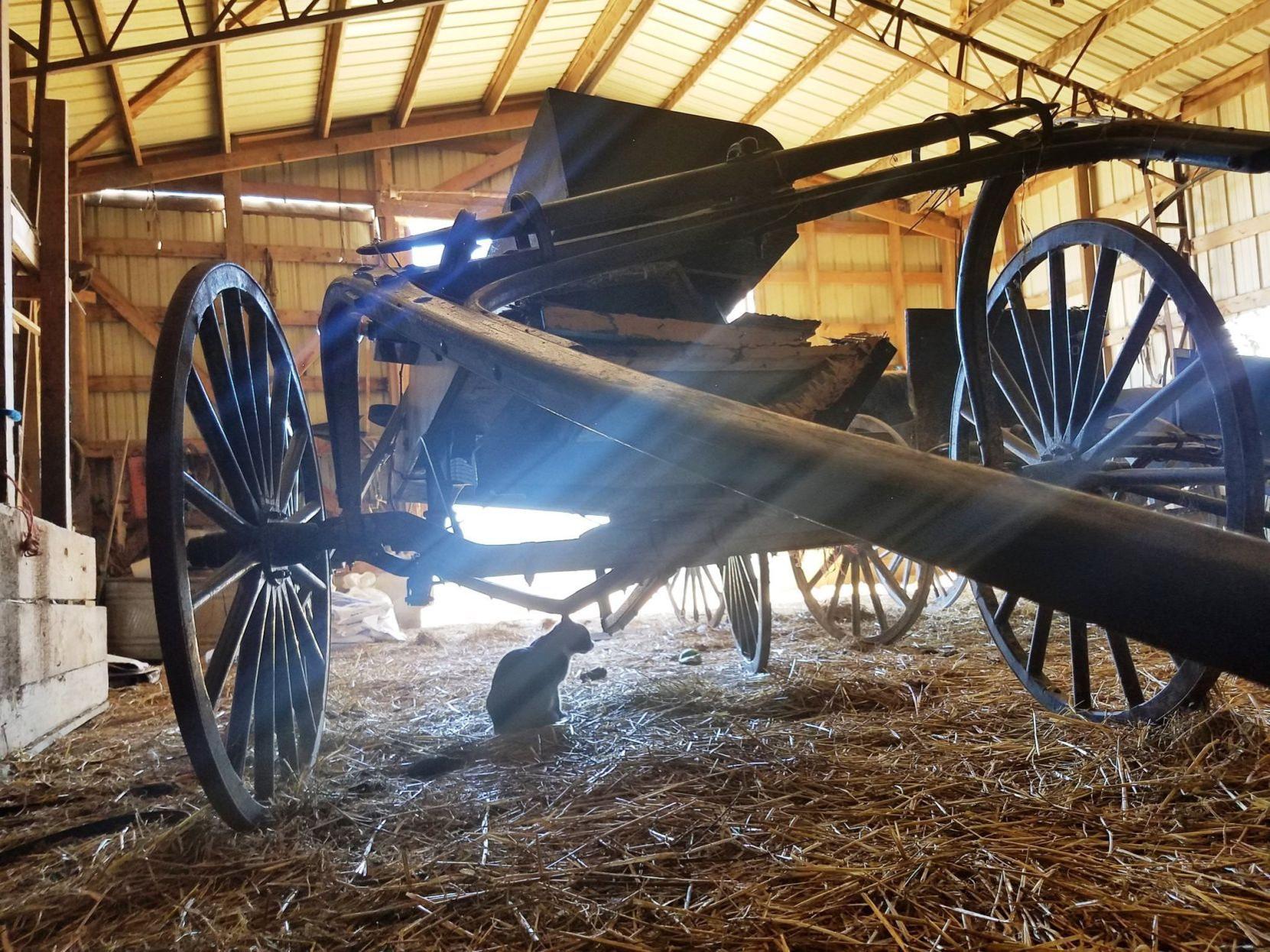 Exponential Growth Pushes The Amish Into New Places Like Licking Mo Regional Stltoday Com