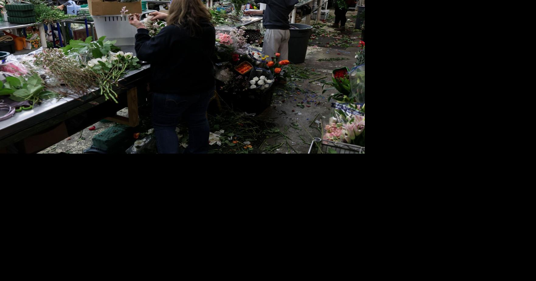 Co-owner of Walter Knoll Florist accused of sexual harassment in lawsuit
