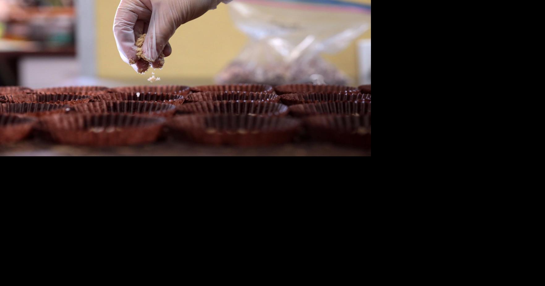 Cricket-based protein startup gets 0,000 to grow yummier insects in St. Louis