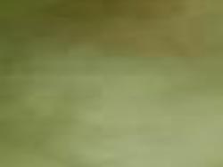 Founder Of Whittaker Homes Dies Local Stltoday Com