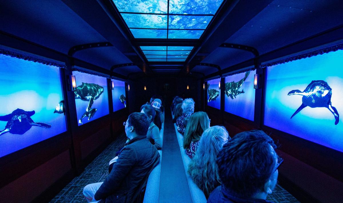 St Louis Aquarium Will Close Through March 31 Entertainment Stltoday Com