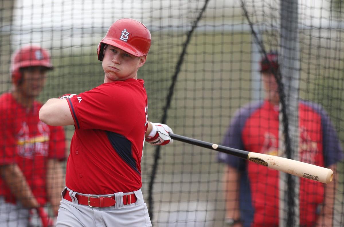Cardinals spring training