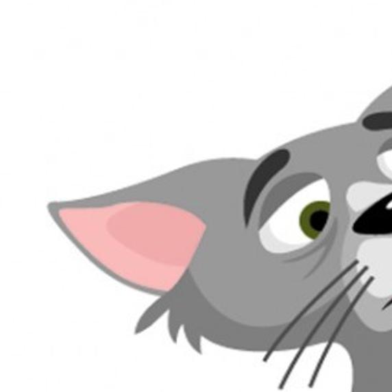 Study Healthy Cats Show Signs Of Illness When Stressed Pets
