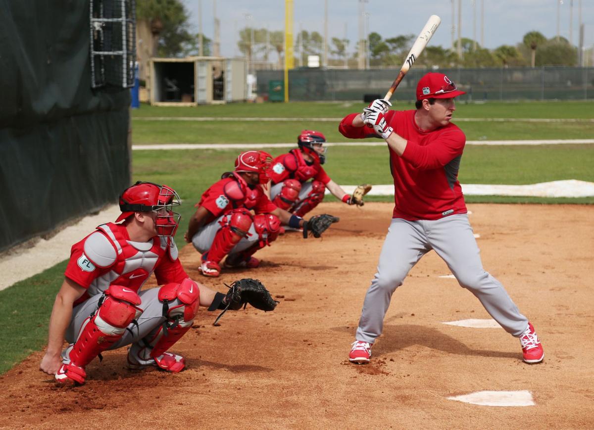 Baseball in the sunshine state: Cardinals spring training on Thursday | St. Louis Cardinals ...