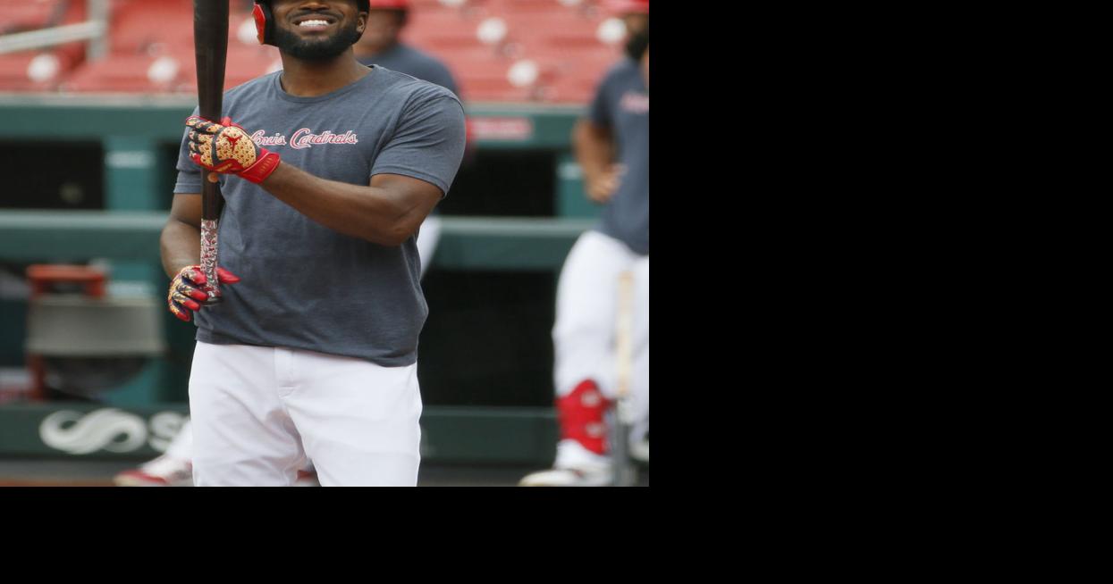 Cubs' Jason Heyward, Cardinals' Dexter Fowler sit out in protest