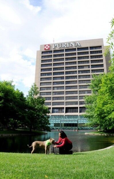 friskies headquarters