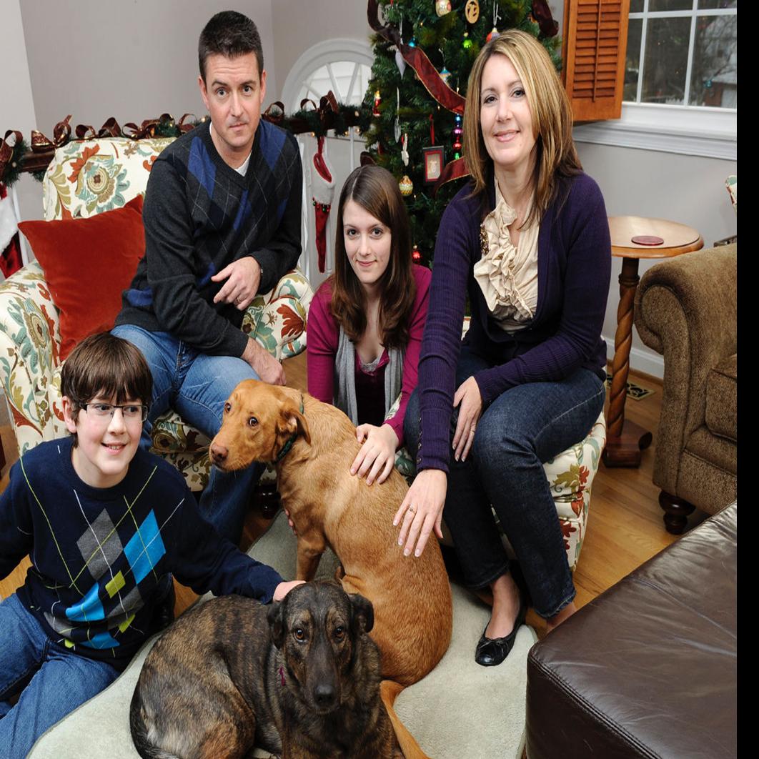 Poll Dogs Fare Better Than Cats On Christmas Morning Pets
