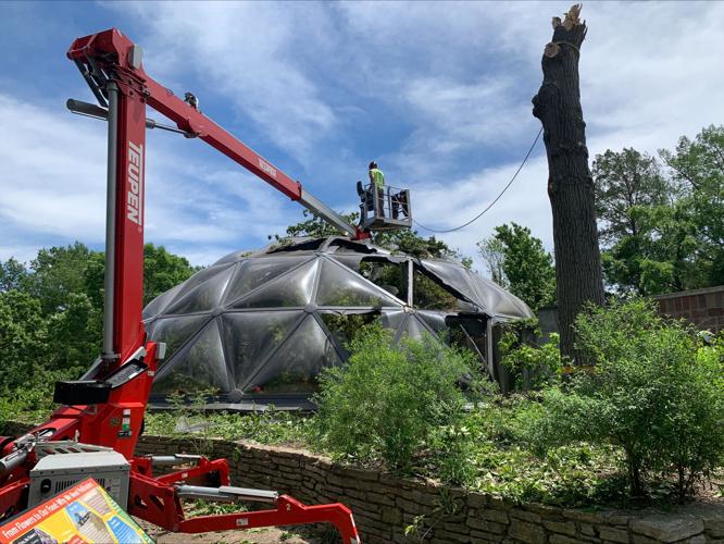 51 Zoo's butterfly dome damaged