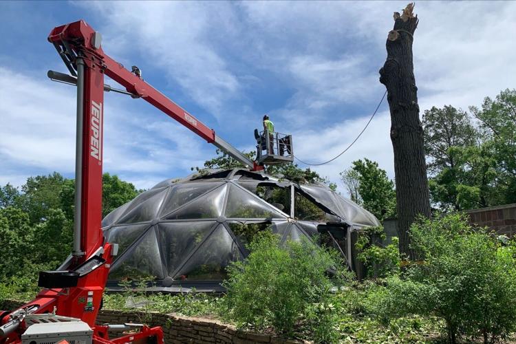 St. Louis Zoo's butterfly dome damaged