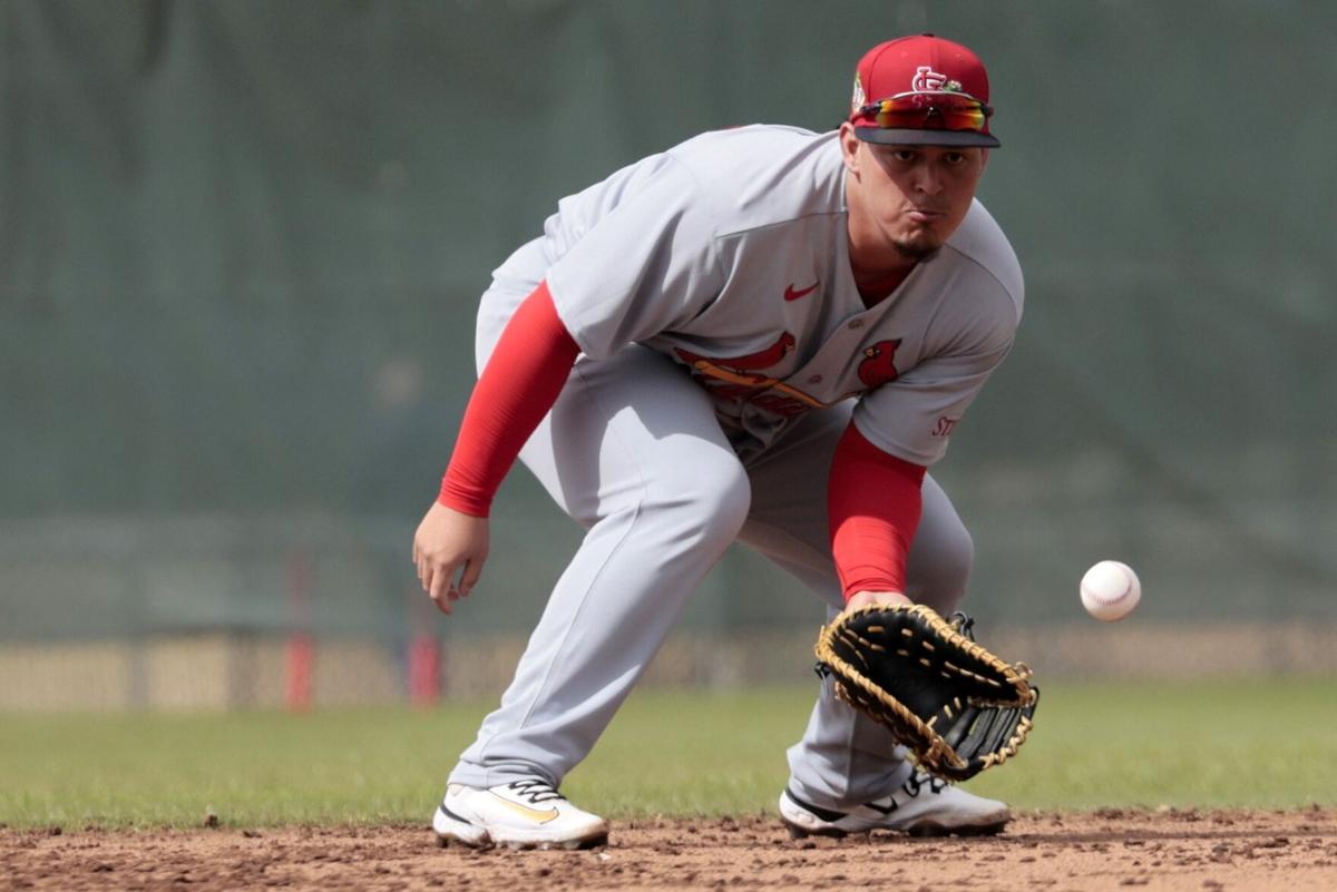 Cardinals Wednesday camp