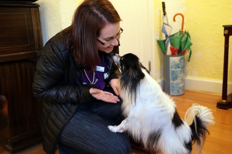 Do Pets Make Good Presents?  Animal Clinic of Woodruff