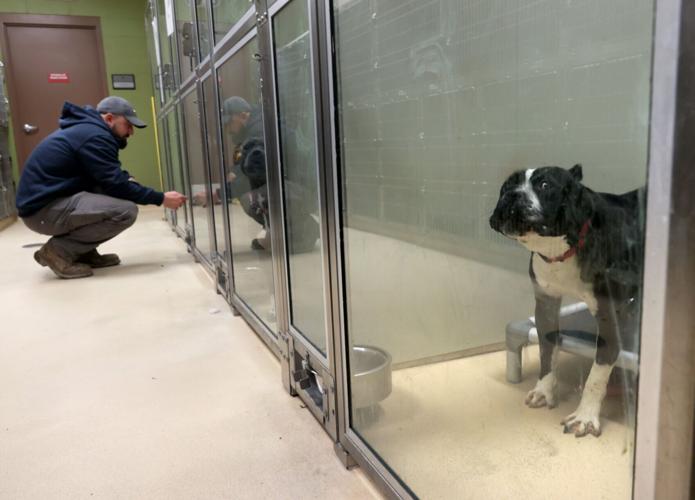 APA adoption center gets criticism from new operators