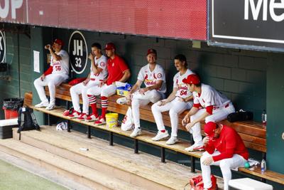 Ƶ Cardinals face off against the Cincinnati Reds