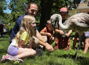 Zoo’s Destination Discovery kids zone taking shape