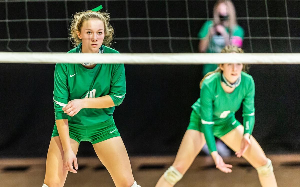 New Haven vs. Advance volleyball