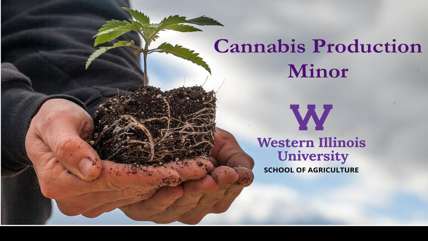 Illinois College S Newest Program This Fall How To Grow Cannabis