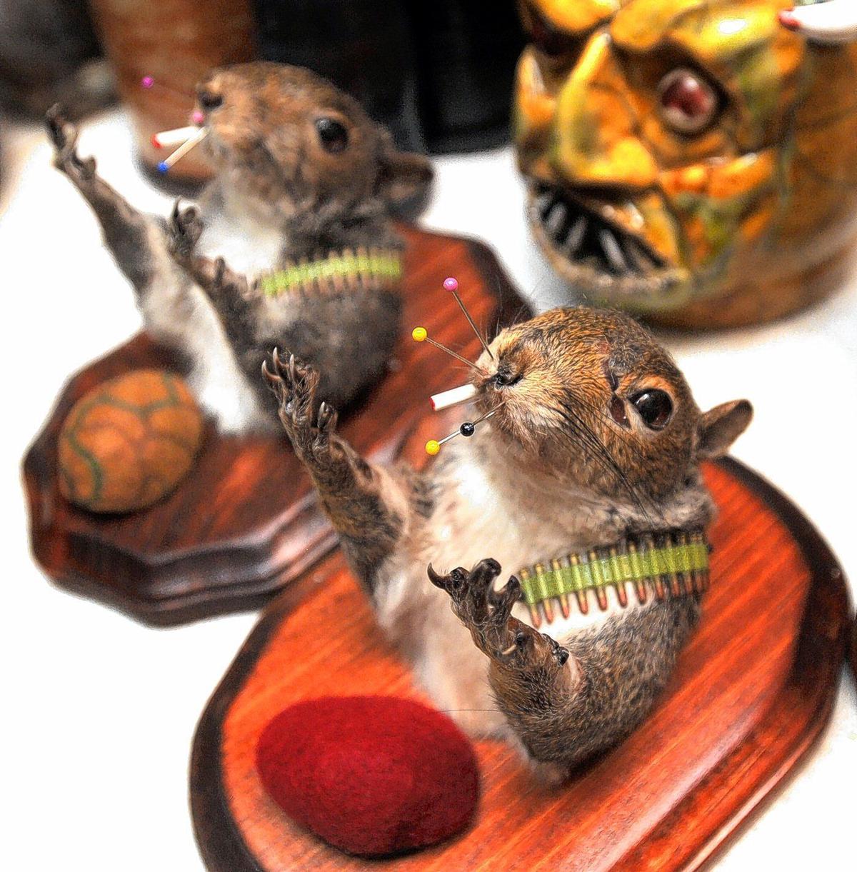 stuffed squirrel taxidermy for sale